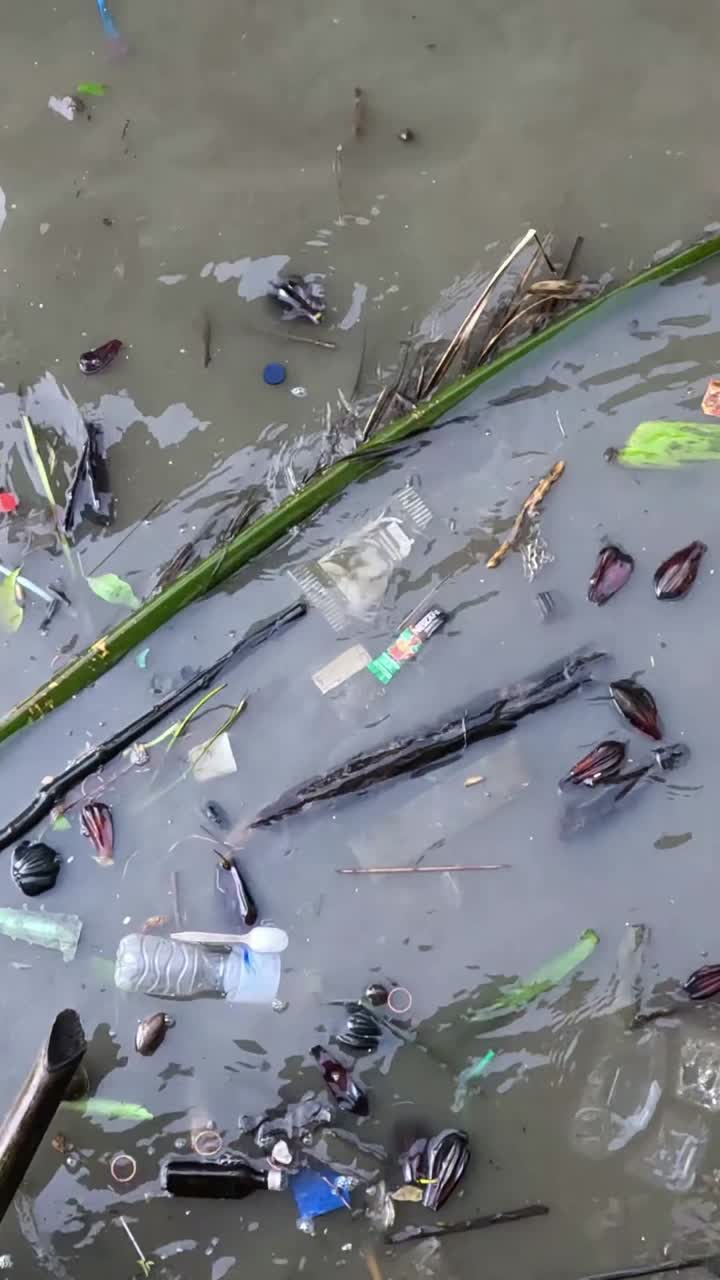 자연 및 인위적 잔해와 함께 움직이는 물의 흐름