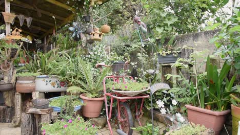 backyard garden with flowers, plants, flower pots and decorative objects