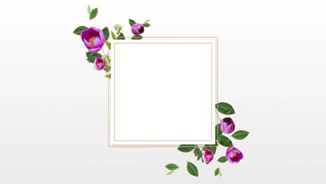 diseño de la frontera con tulipanes púrpuras bonitos