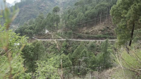 nim trainees on their way to trail, passing through jungles