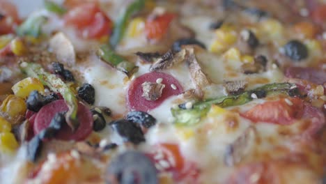 primer plano de una pizza con varios ingredientes