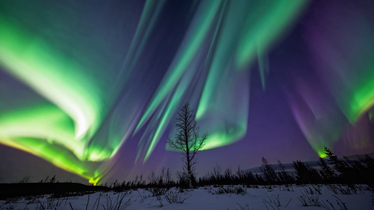 A mesmerizing wide-angle video shot of vibrant auroras dancing over a snowy landscape