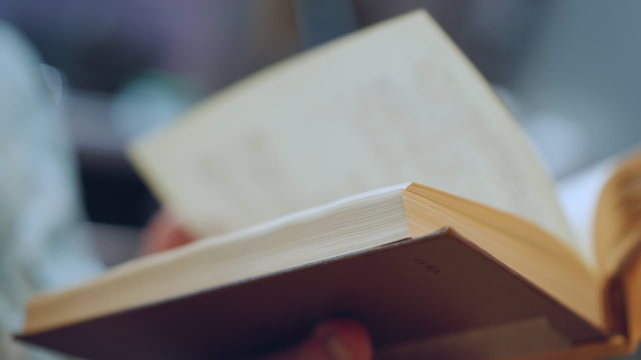 読書をする高齢の女性。注意深くページをめくる熟年の女性。古書のページを丁寧に調べる年配の祖母。歴史的文献を熱心に読み進める高齢の祖母。