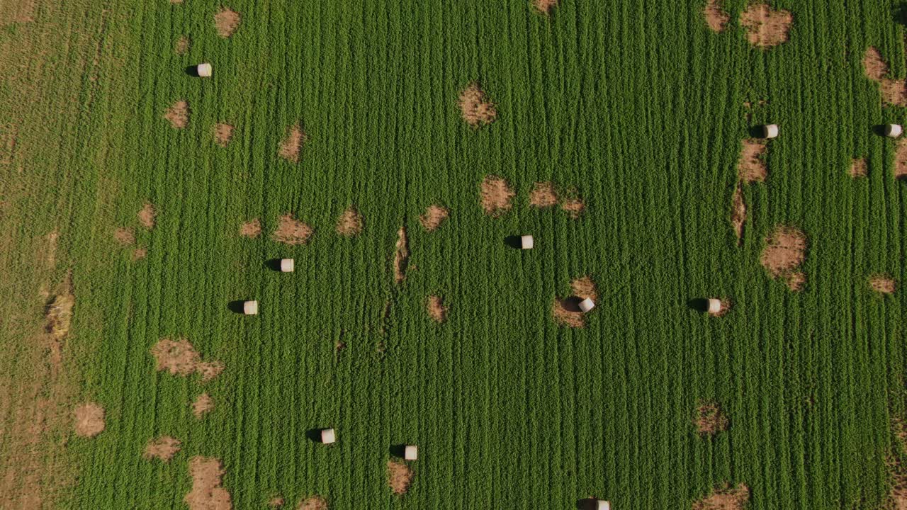 Aerial View of Hay Bales in patchy green field