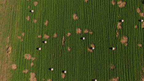 aerial view of hay bales in patchy green field