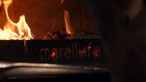 fire in a wood burning stove