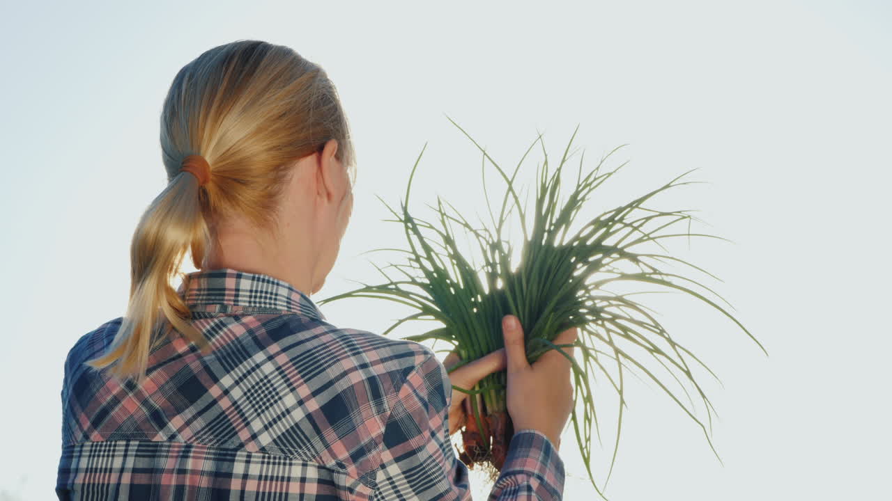 여성 농부는 농장에서 녹색 양파 비타민 다발을 보유하고 있습니다.