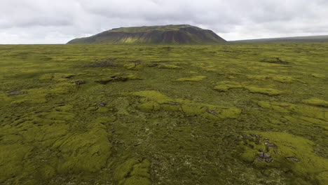 aerial view of mossy lava field in iceland.