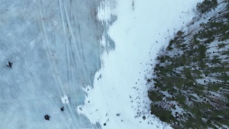 Flying-directly-above-an-island-with-trees-over-a-frozen-lake