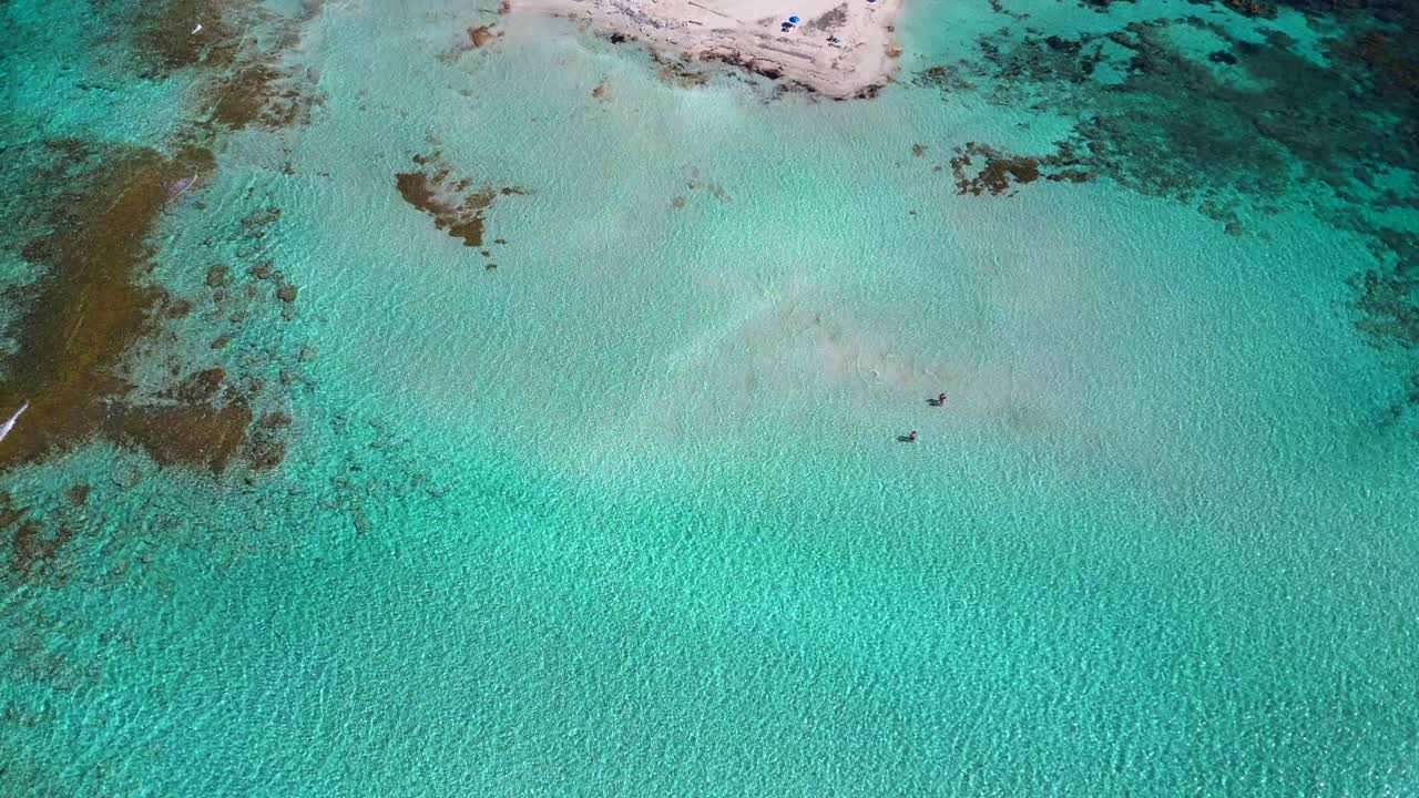 Formentera Ibiza seabed with vibrant turquoise water and underwater Posidonia oceanica seagrass beds. Stunning aerial view flight tilt down drone