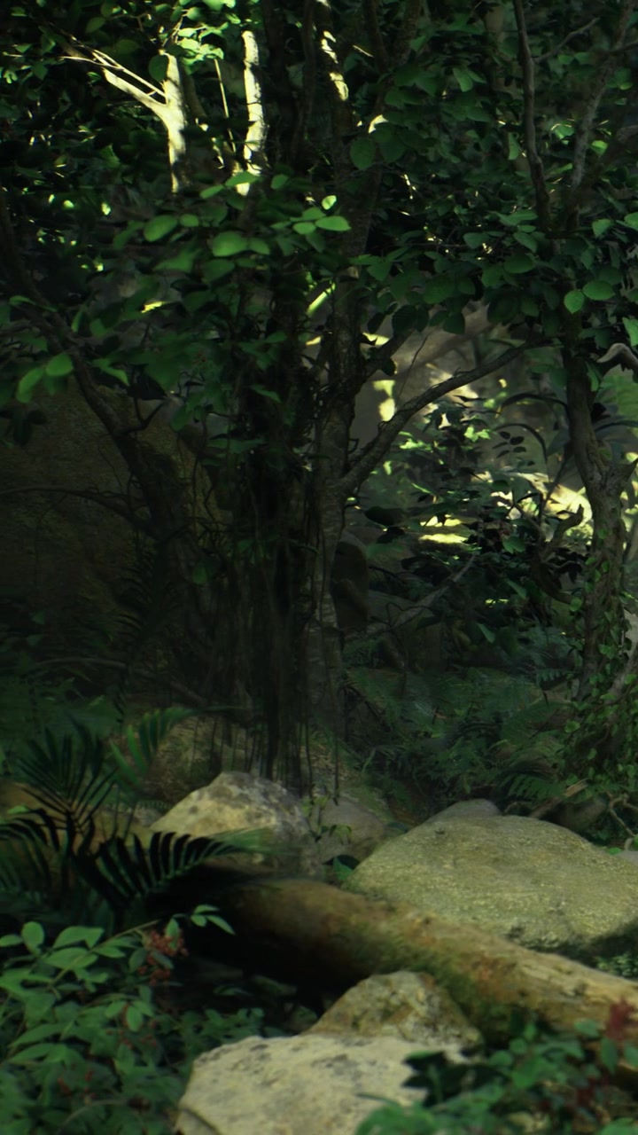 La luce del sole filtra attraverso gli alberi in una fitta foresta con rocce e vegetazione.
