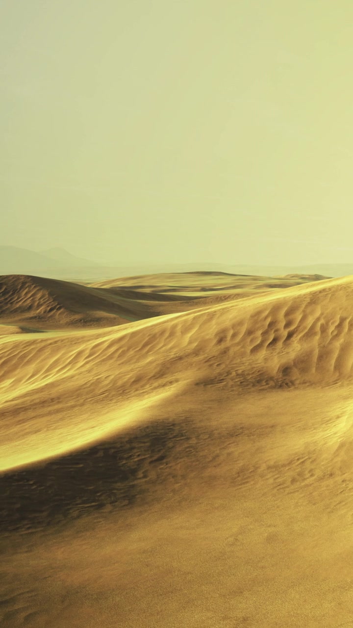 Una vasta area di dune di sabbia è visibile sotto un cielo sereno.
