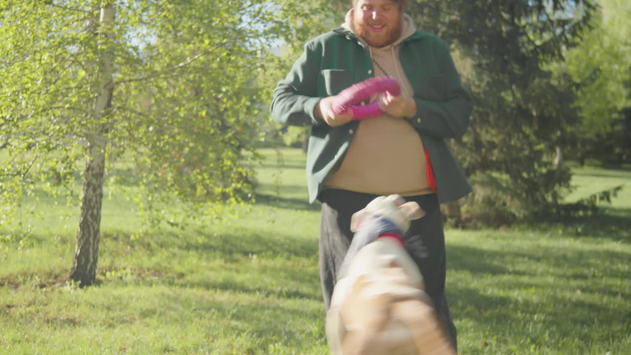 A man plays with his dog and a toy in a sunny park