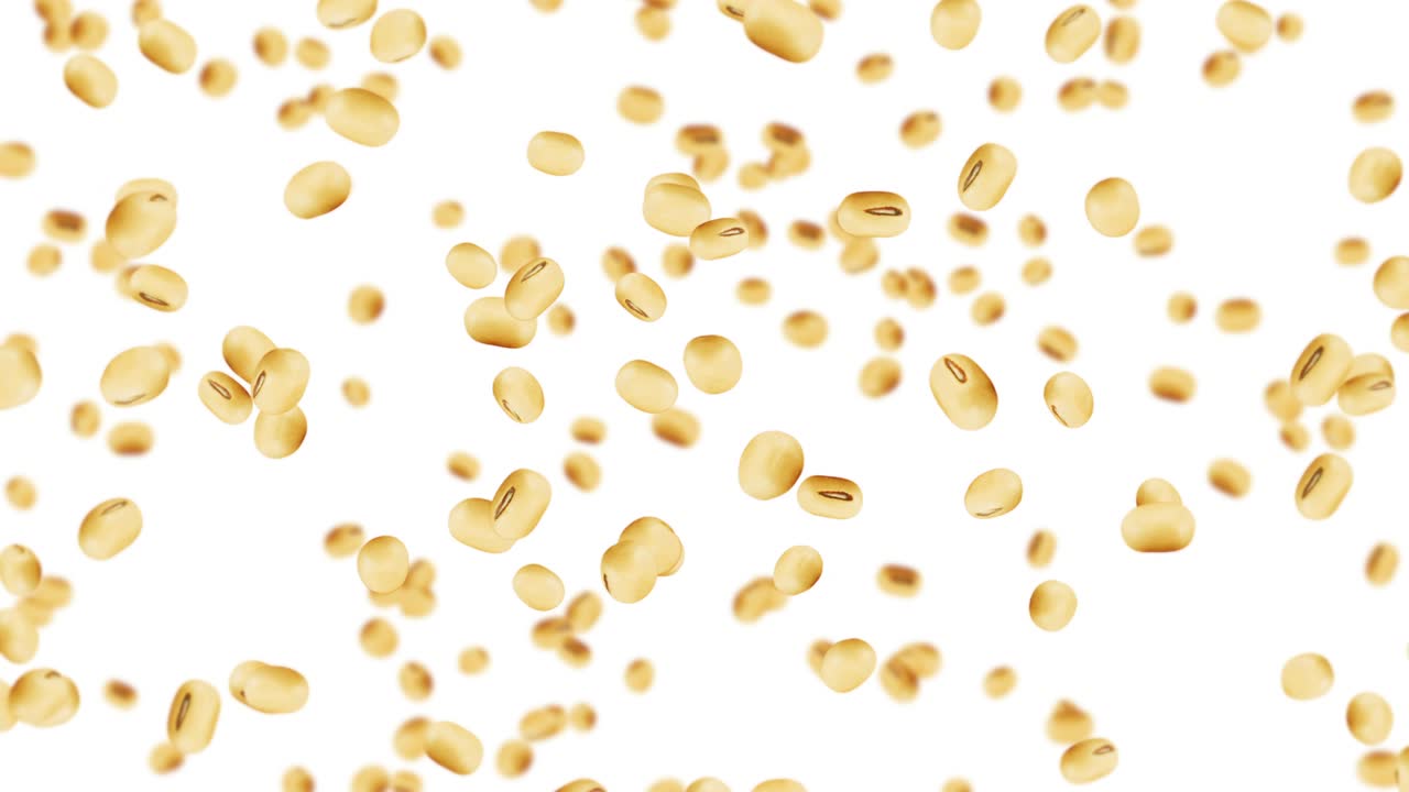 색 배경에 많은 콩을 날아. 밝은 갈색 곡물. 콩과 콩. 건강한 음식. 콩이 회전하는 3d 루프 애니메이션.