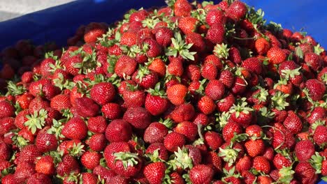 Männer-Verkaufen-Erdbeeren-Auf-Der-Straße-In-Istanbul,