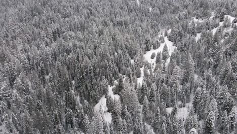 snowcapped mountains of american fork canyon, utah