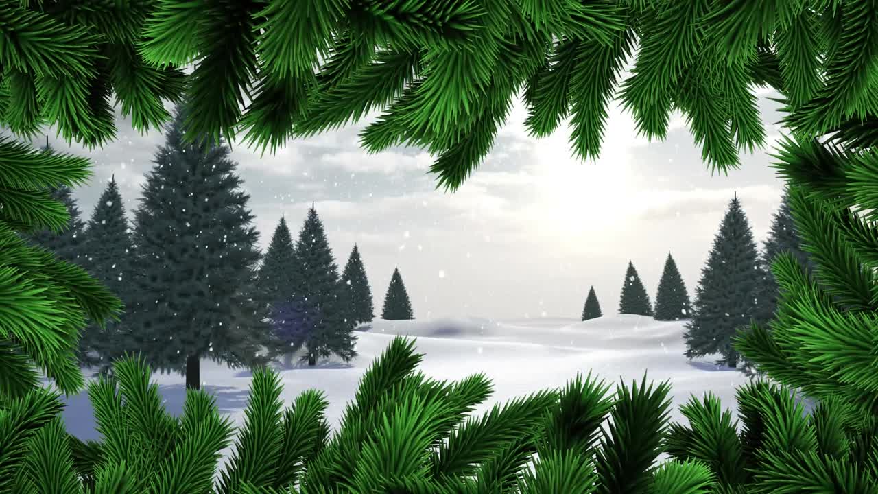 겨울 풍경 위 에 있는 소나무 가지 들 의 애니메이션