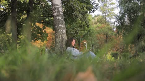 woman relaxing in a park with a laptop