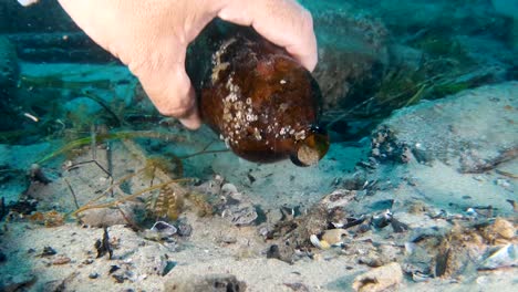 A-discarded-beer-bottle-being-picked-up-from-the-ocean-floor-during-a-clean-up-dive-using-scuba-equipment