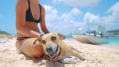 Mujer-Joven-Y-Su-Perro-Sentados-En-La-Playa,-Curacao