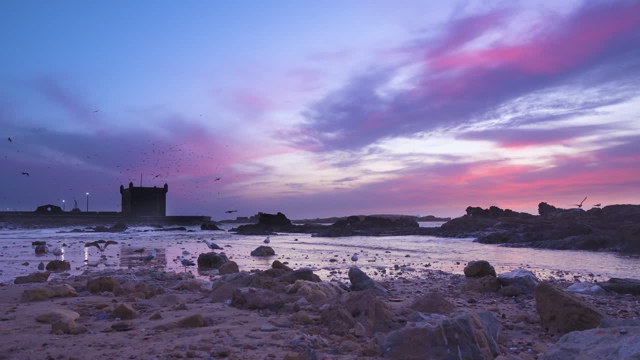 Beautiful pink sunset over ocean waves. Seagulls on the coast of the Atlantic Ocean. Ancient fortress in Morocco