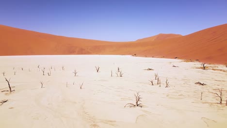 4.000-Drones-Volando-Sobre-árboles-De-Espinas-De-Camellos-Muertos-En-Deadvlei,-Cerca-De-Sossusvlei,-Parque-Namib-naukluft,-Namibia