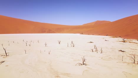 drone de 4k volando sobre árboles de espinas de camello muertos en deadvlei, cerca de sossusvlei, parque namib-naukluft, namibia