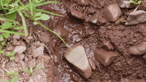 water flowing down dirt with  grass 4k 60fps