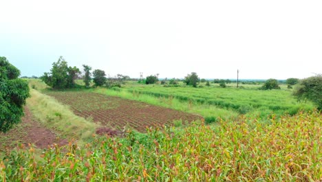 Dorf-In-Der-Nähe-Von-Lature-Mahrashtra-Drohnenaufnahme-Von-Farmen-Und-Straßen