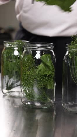 preparing pickles with fresh herbs