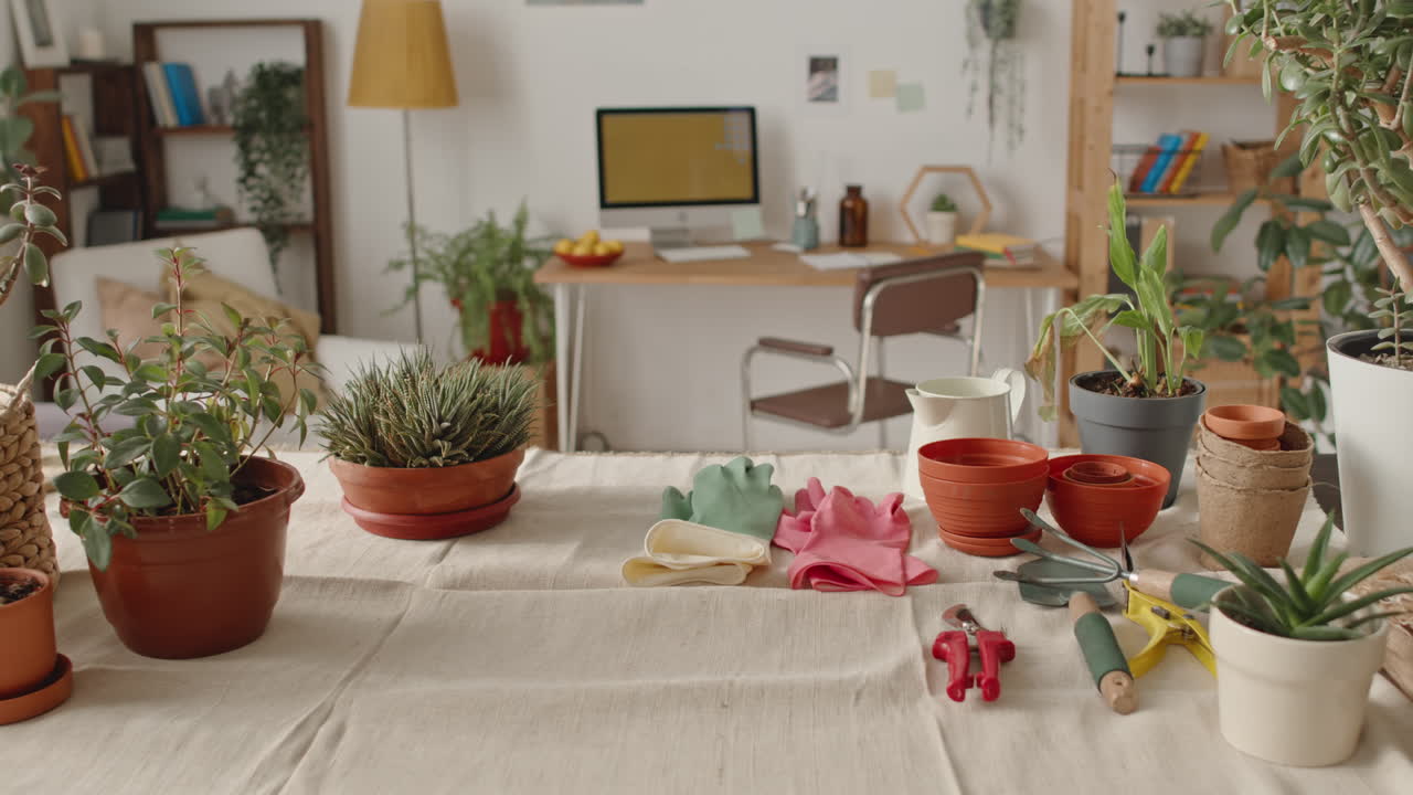 Indoor Gardening and Home Office Setup