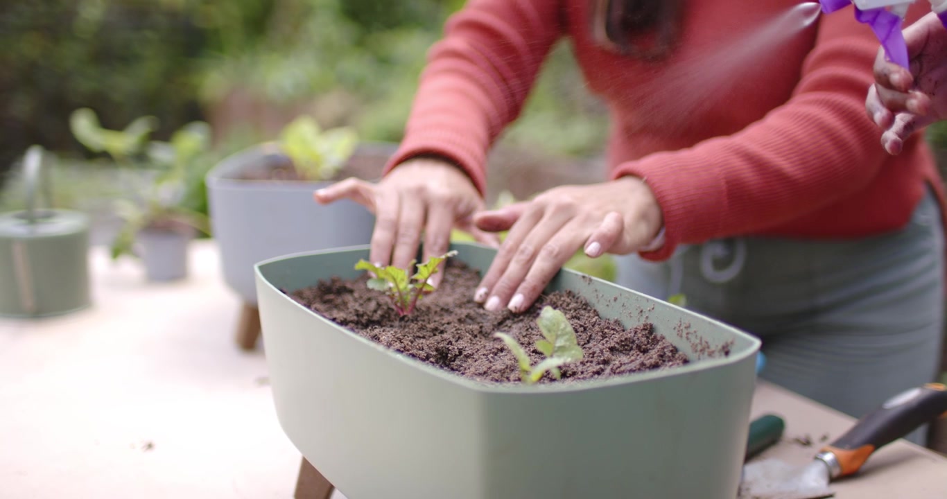 African American woman postplanting patting soil in planter at table while pal misting purple spray