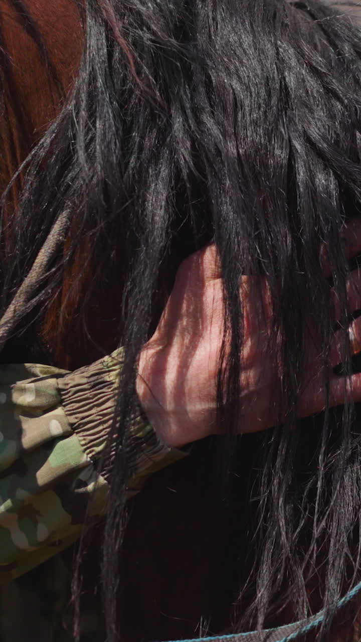Owner taps and strokes brown horse neck with black mane taking care of animal at countryside closeup. Man spends times with farm habitat slow motion