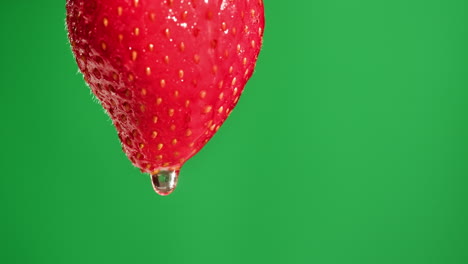 close-up of a wet strawberry