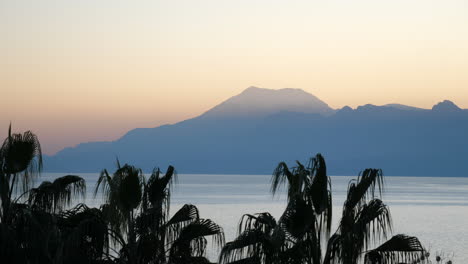 Golden-light,-palm-trees-and-birds-flying-over-water-and-mountains-near-Antalya,-Turkey