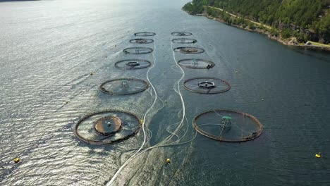 imágenes aéreas de granjas de pesca de salmón en noruega