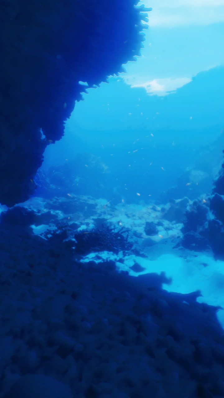 Underwater grotto with sunlight streaming through rocky crevices