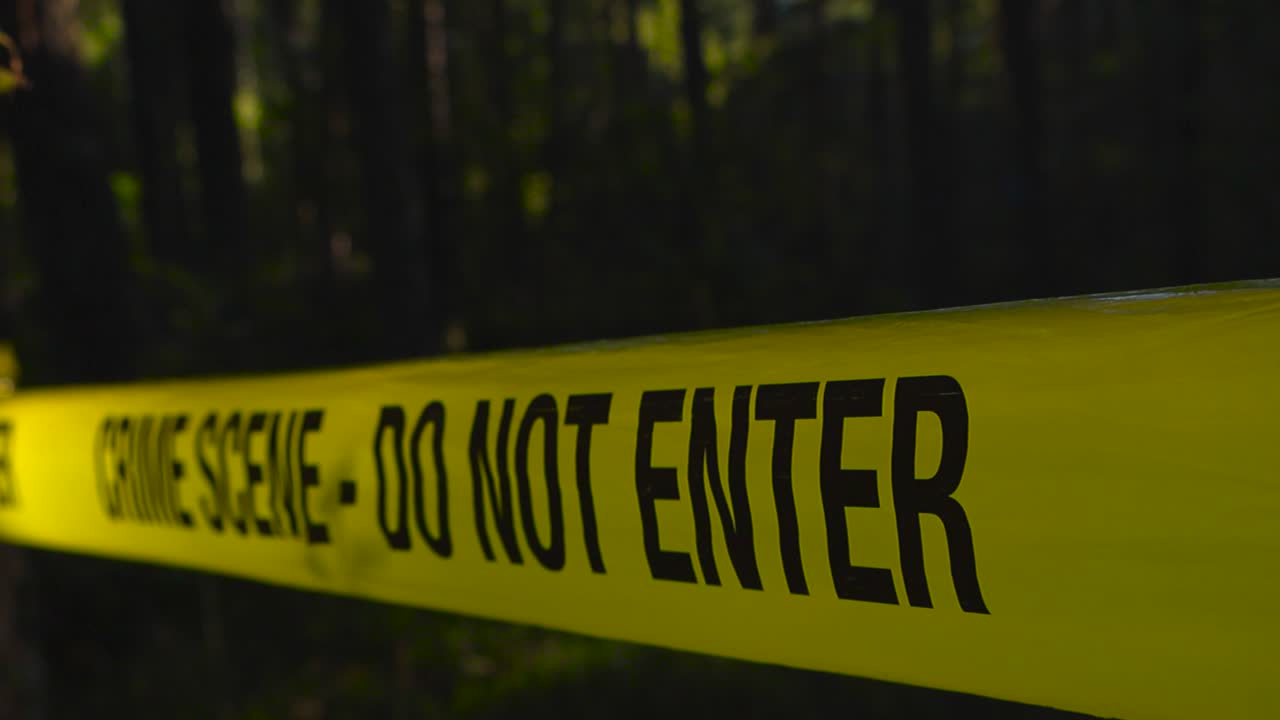 Close up glide over a yellow colored forensic science police crime scene tape in a dark and thick summer or autumn green forest with sunlight shining through trees in the bokeh blurry background