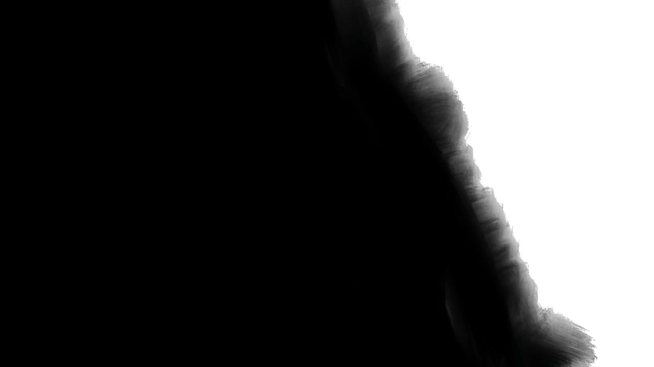 Transizione con inchiostro nero che si diffonde su sfondo bianco