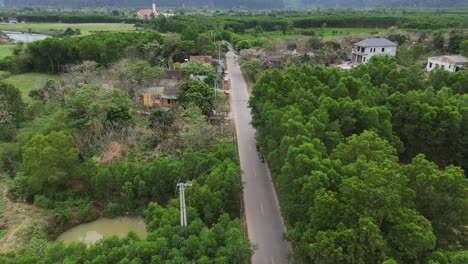 Aerial-view-of-bike-driving-on-country-road-in-forest-in-the-evening-at-twilight