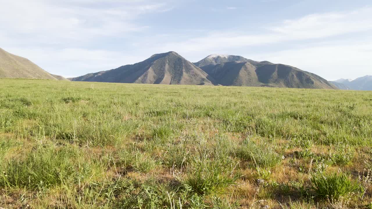 메이플턴과 스패니시 포크 도시 근처 유타의 장엄한 와사치 산맥