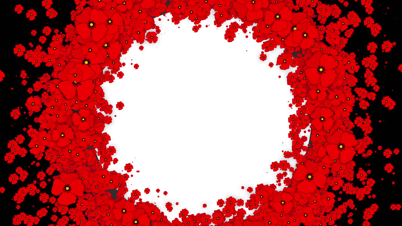 Floral background with wreath of red poppies. Wreath of moving flowers. Looped animation with white circle empty space for text.