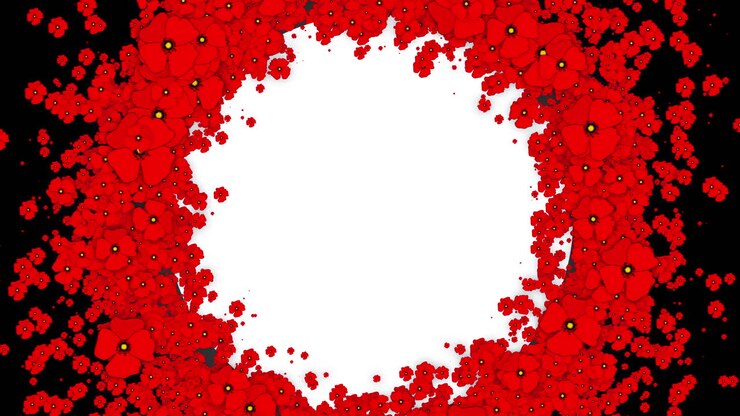Floral background with wreath of red poppies. Wreath of moving flowers. Looped animation with white circle empty space for text.