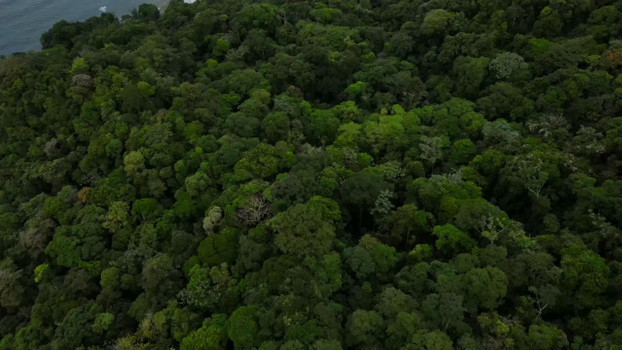 panorama de un avión no tripulado que revela la península de bahía solano, colombia