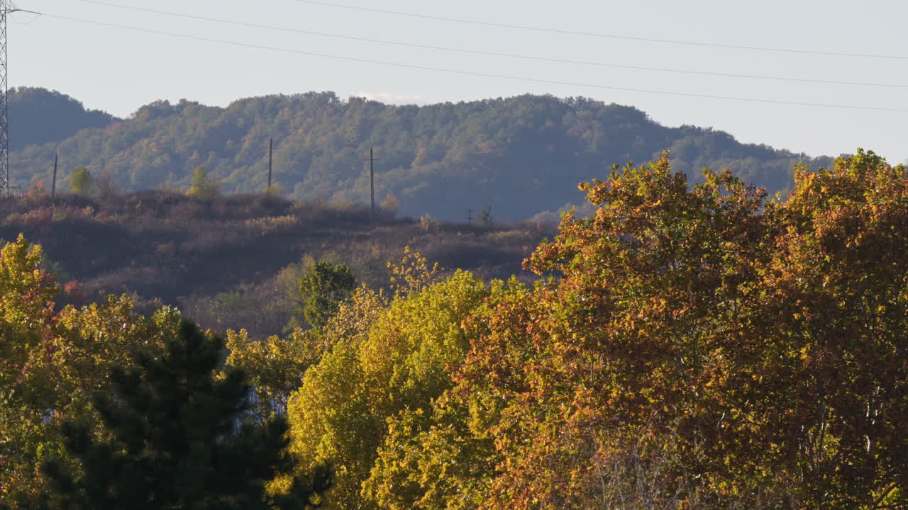 Colorful autumn trees with distant hills