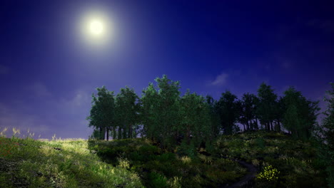 la noche iluminada por la luna ilumina el tranquilo bosque bajo el cielo estrellado.