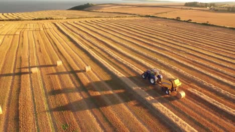 drone footage of golden fields and combine harvester