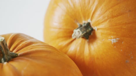 Composition-of-halloween-orange-pumpkins-against-white-background