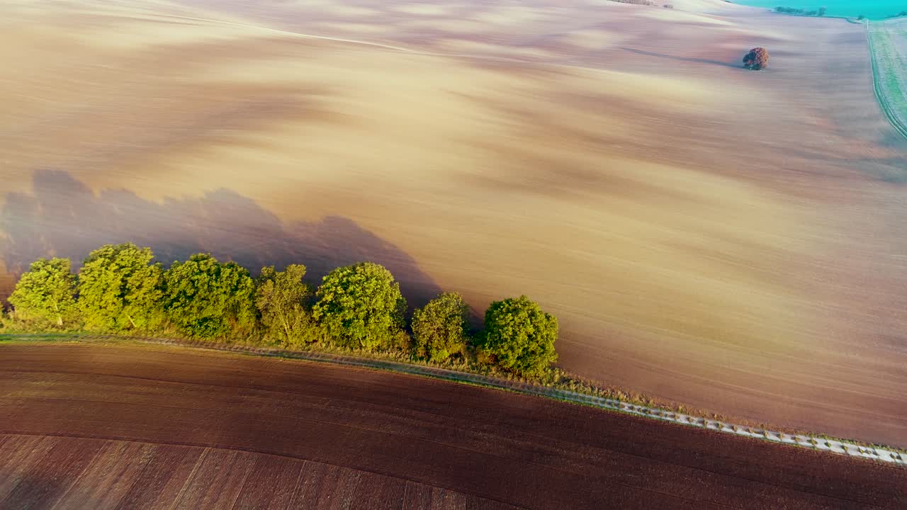 Aerial view over wheat field and farm land during summer season
