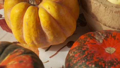 autumn fall vibes with close up view of colorful squashes and pumpkins, slow motion moves, 4k